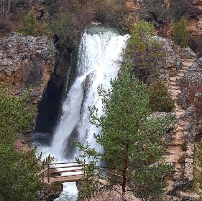 Casa Rural La Endrina Terriente Εξωτερικό φωτογραφία